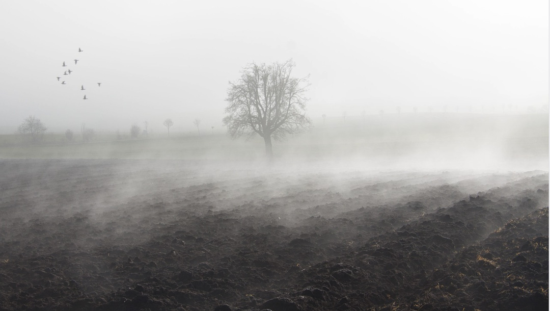 地下室防滲防潮 地下室防滲防潮