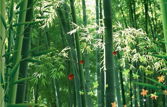 大自然沁人心脾的新鮮空氣，在家也能呼吸到